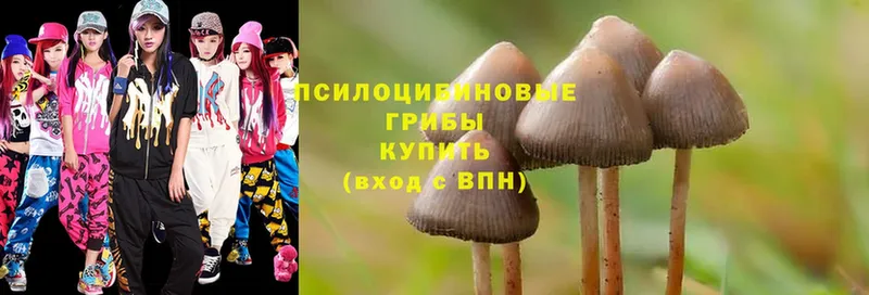 Псилоцибиновые грибы MAGIC MUSHROOMS Белоусово